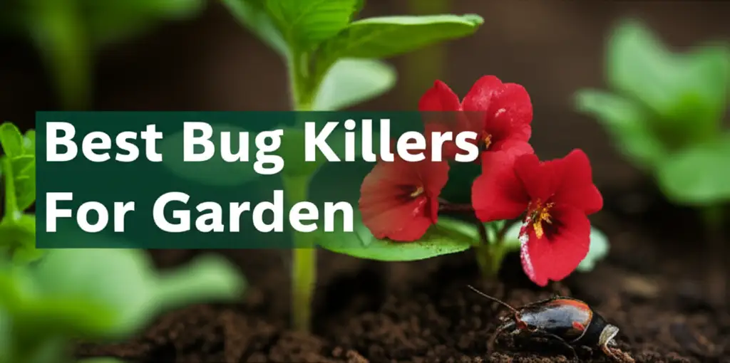 7 Best Bug Killers For Garden to Protect Your Plants 2026