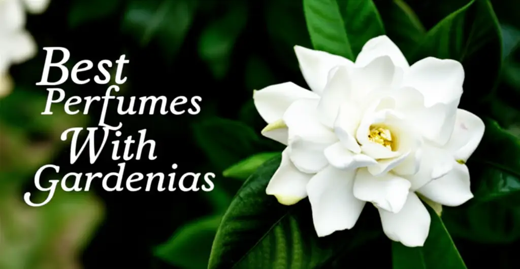10 Best Perfumes With Gardenias 2026 for Floral Scents