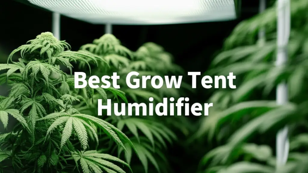 10 Best Grow Tent Humidifier 2026 Top Solutions