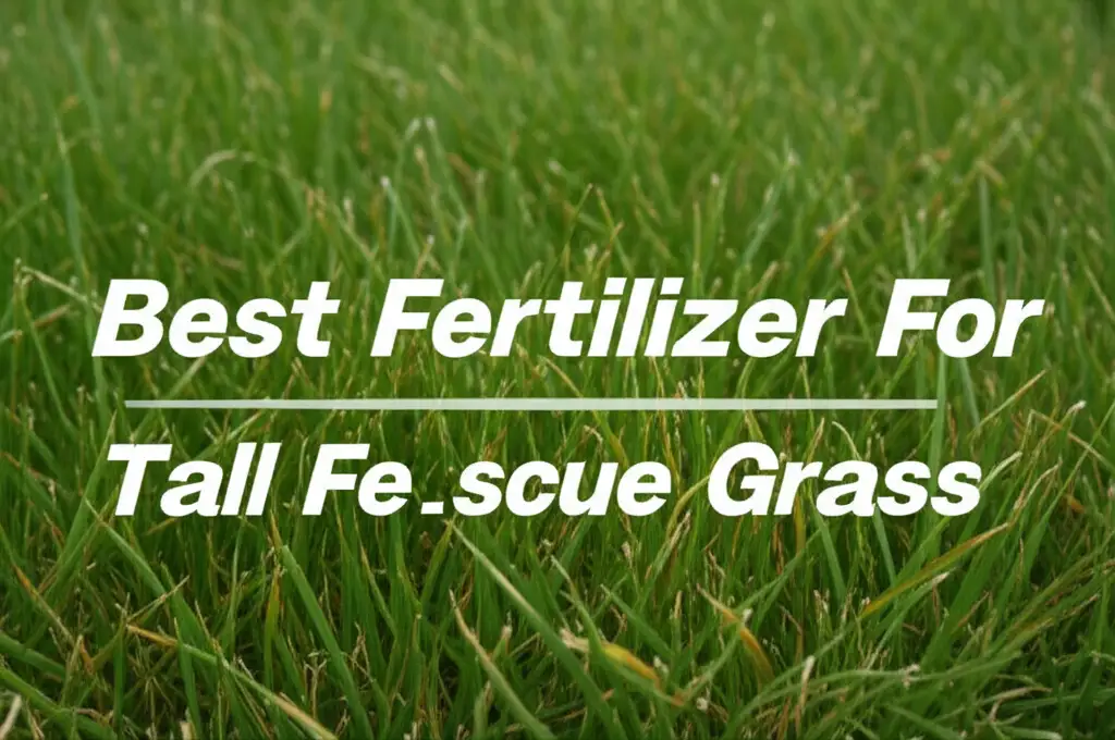 9 Best Fertilizer For Tall Fescue Grass in 2026