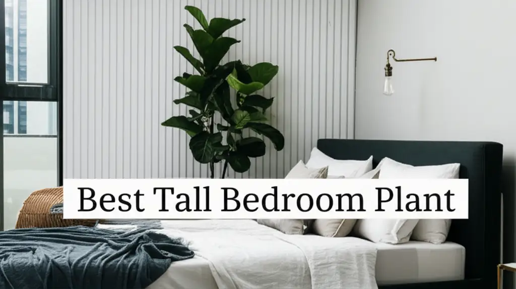 Best Tall Bedroom Plant