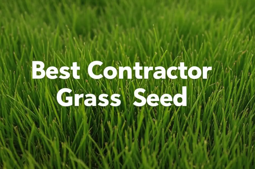 9 Best Contractor Grass Seed for 2026 Reviews
