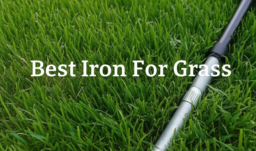 Best 9 Iron For Grass Solutions for 2026