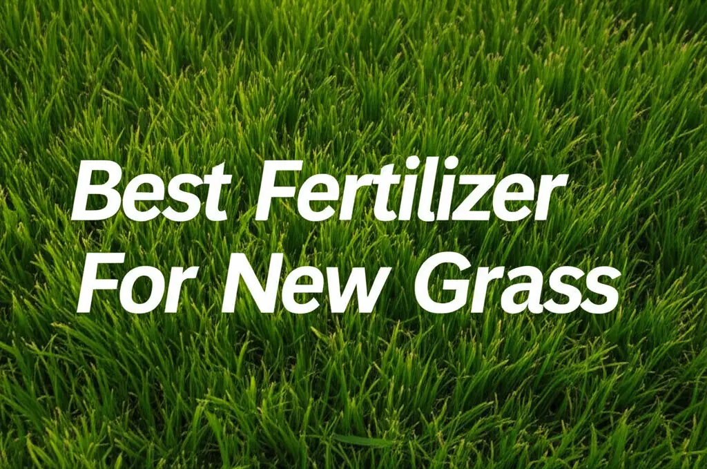 7 Best Fertilizer For New Grass 2026 Guide