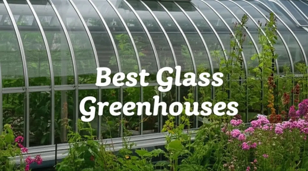 8 Best Glass Greenhouses of 2026 for Your Home Garden
