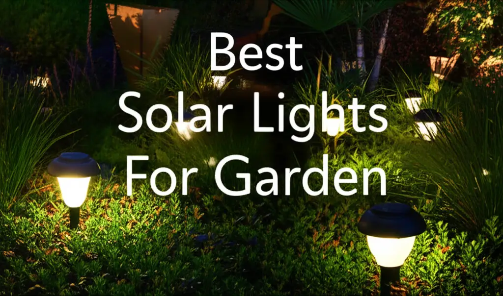 10 Best Solar Lights For Garden of 2025