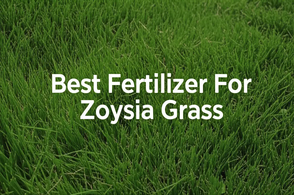 9 Best Fertilizer For Zoysia Grass 2026 Guide
