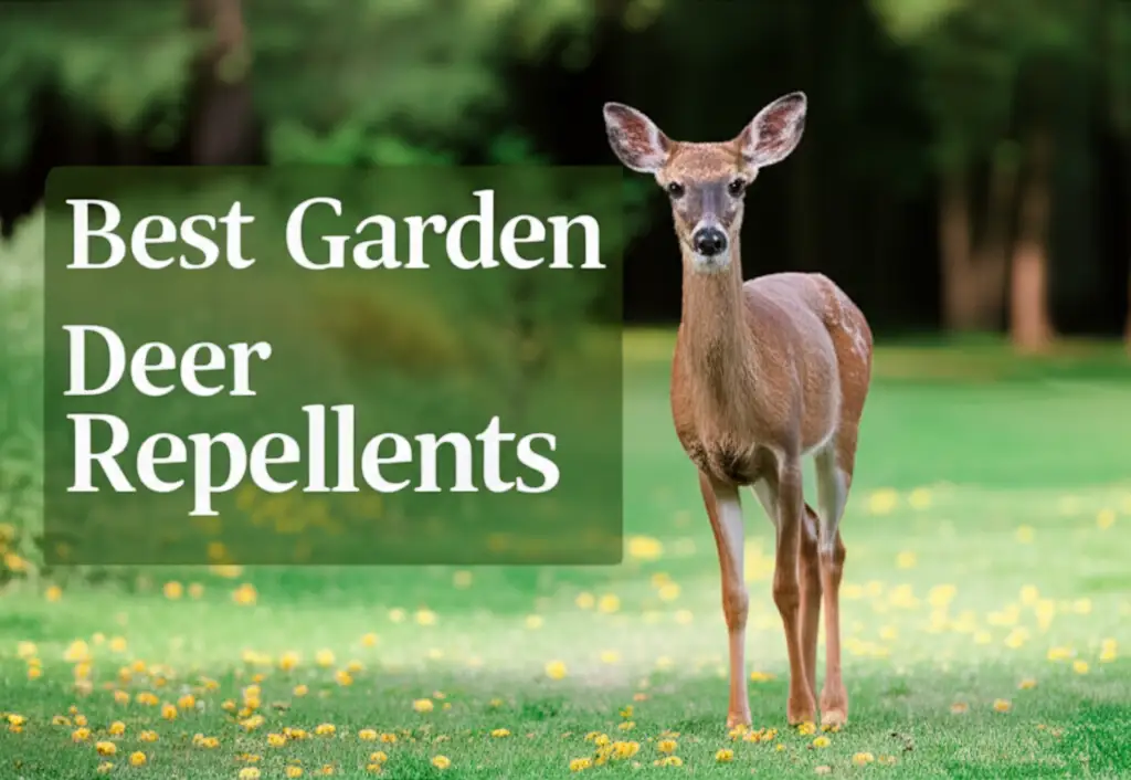 8 Best Garden Deer Repellents for 2026 Reviewed