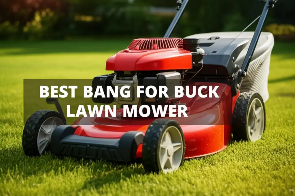 8 Best Bang For Buck Lawn Mower Options to Buy in 2026