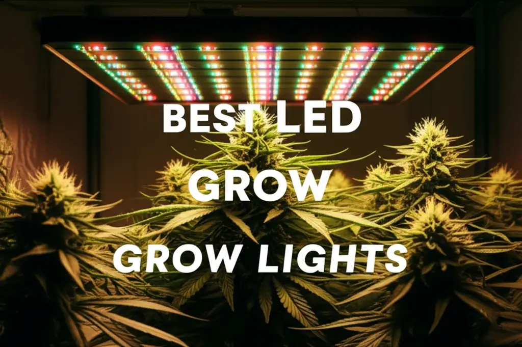 8 Best Led Grow Lights 2026 for Thriving Indoor Gardens