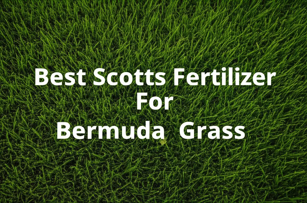 9 Best Scotts Fertilizer For Bermuda Grass 2026 Guide