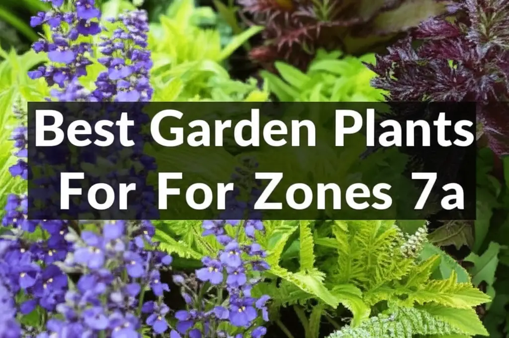 10 Best Garden Plants For Zones 7a in 2026