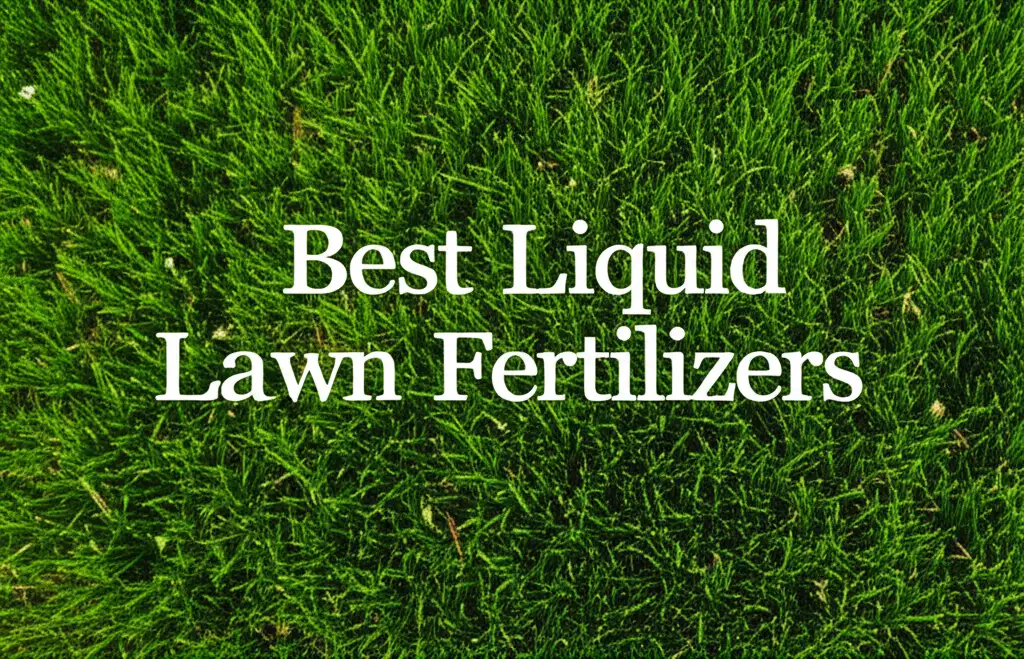 10 Best Liquid Lawn Fertilizers for a Greener Yard 2026
