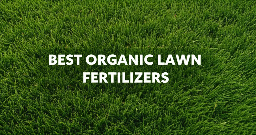 9 Best Organic Lawn Fertilizers in 2025 for Lush Grass