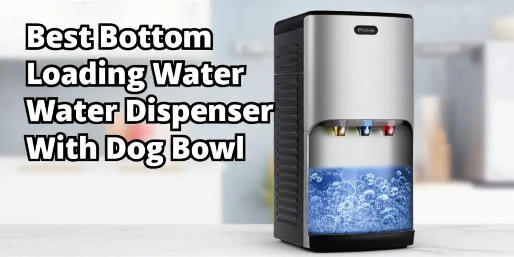 Best Bottom Loading Water Dispenser With Dog Bowl
