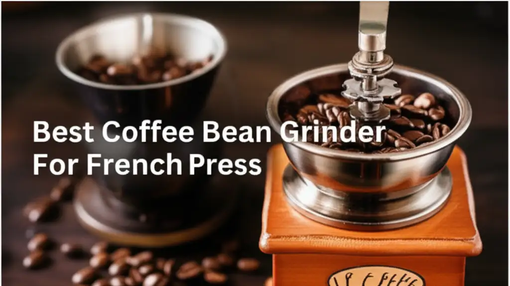 10 Best Coffee Bean Grinder For French Press 2025