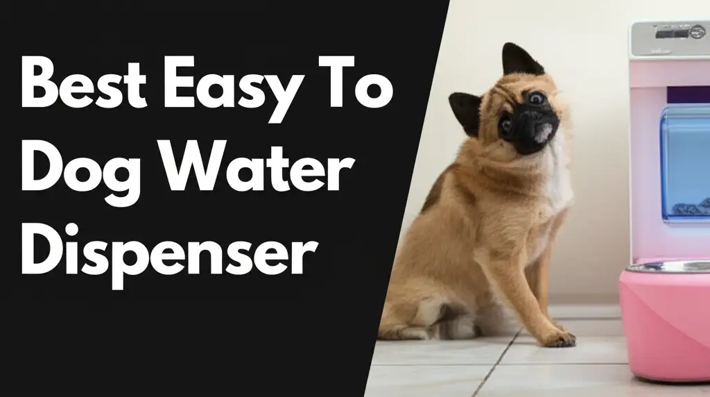 10 Best Easy To Clean Dog Water Dispenser 2026