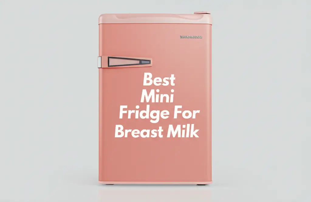 10 Best Mini Fridge For Breast Milk 2026