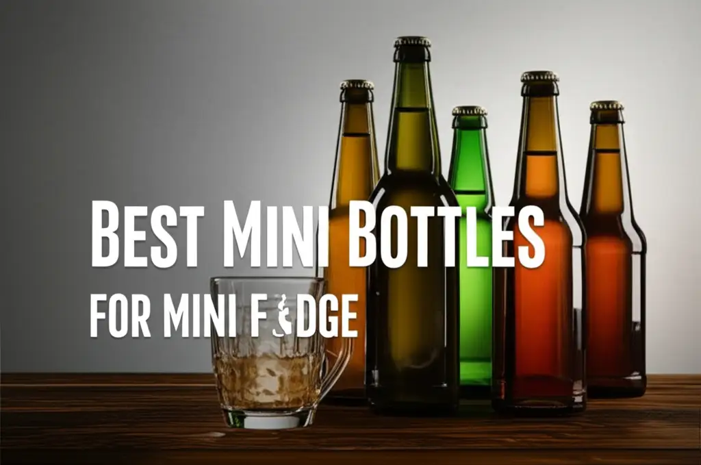 10 Best Mini Bottles For Mini Fridge 2026 Guide