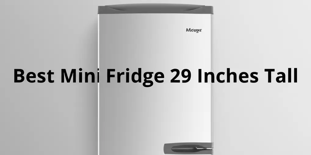 10 Best Mini Fridge 29 Inches Tall in 2026