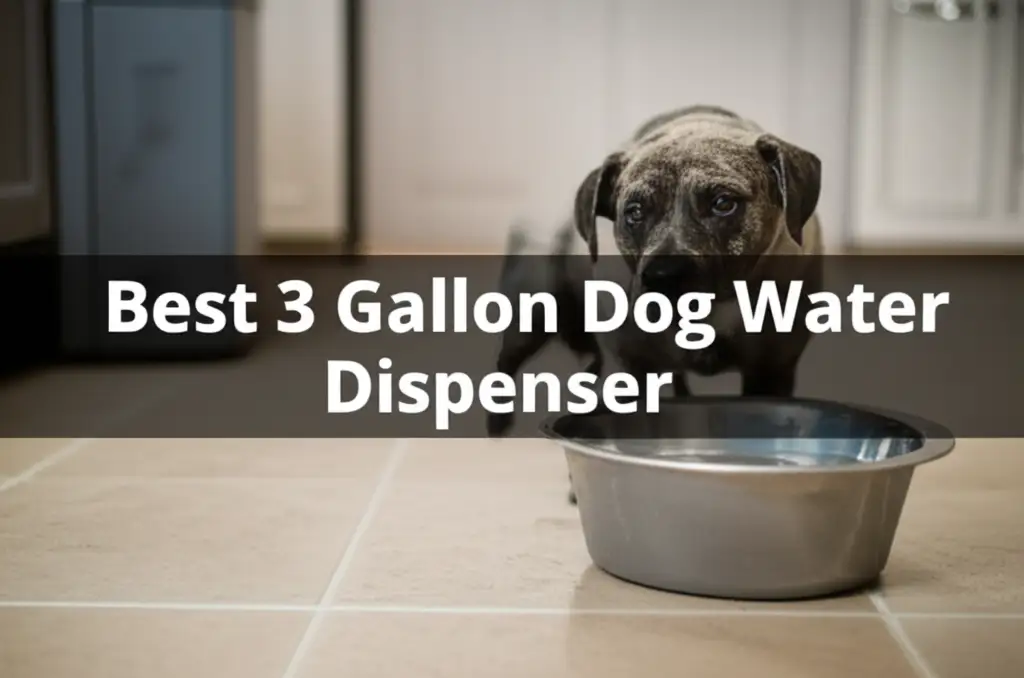 10 Best 3 Gallon Dog Water Dispenser for 2026