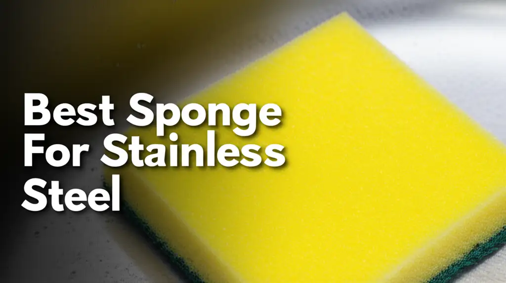 10 Best Sponge For Stainless Steel 2026
