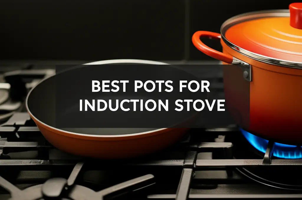 9 Best Pots For Induction Stove of 2026 Reviewed