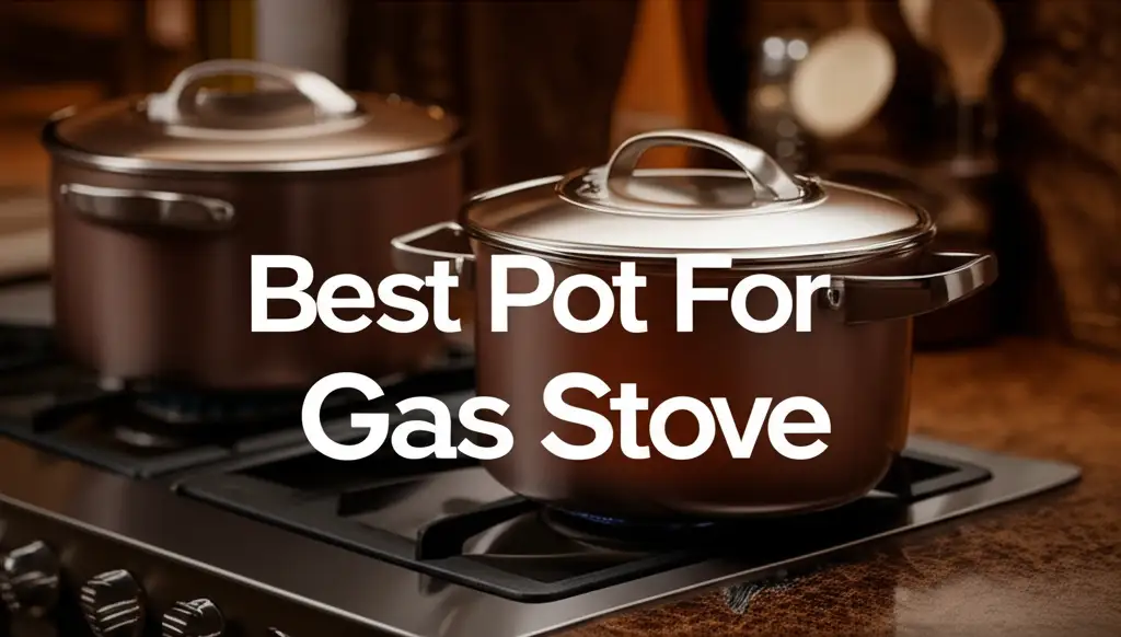 10 Best Pot For Gas Stove and Cooking Essentials 2026