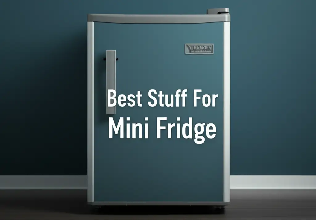 7 Best Stuff For Mini Fridge in 2026