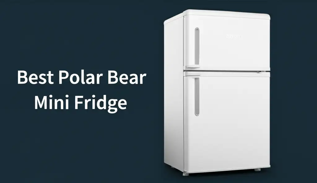 10 Best Polar Bear Mini Fridge Options for 2026