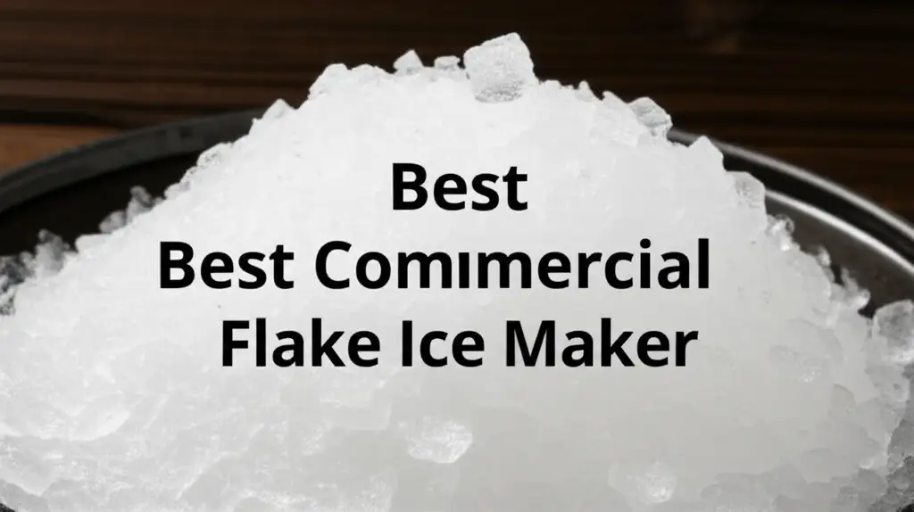 9 Best Commercial Flake Ice Maker 2026