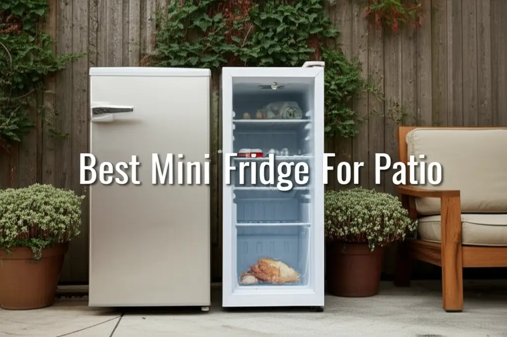 8 Best Mini Fridge For Patio 2026 Review
