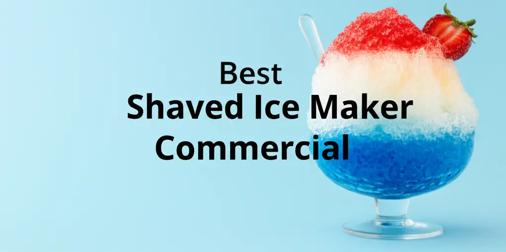 10 Best Shaved Ice Maker Commercial of 2026