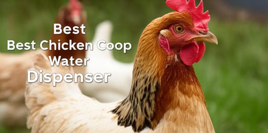 10 Best Chicken Coop Water Dispenser for 2026