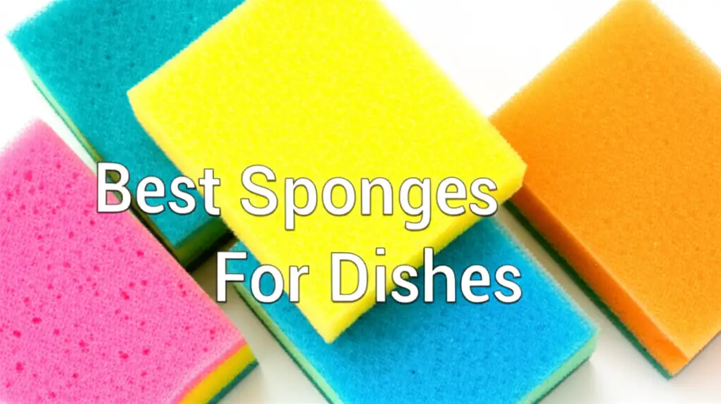Best Sponges For Dishes