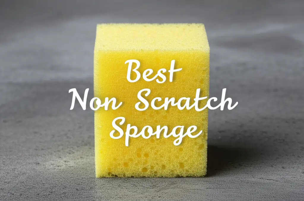 9 Best Non Scratch Sponges of 2026