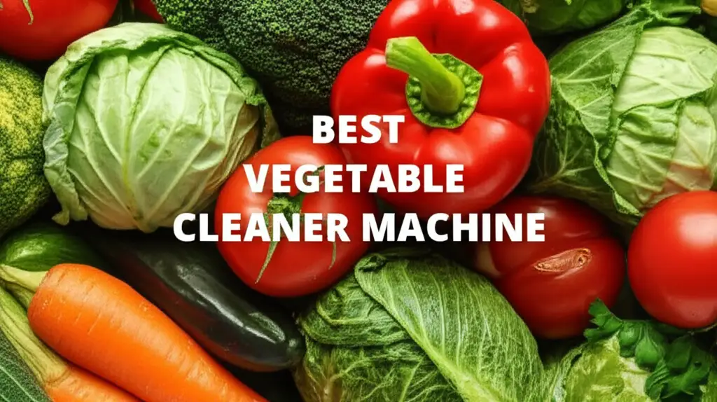 9 Best Vegetable Cleaner Machine of 2026