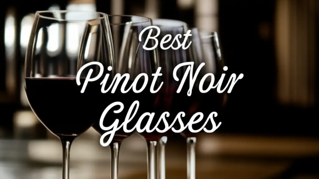 Best Pinot Noir Glasses