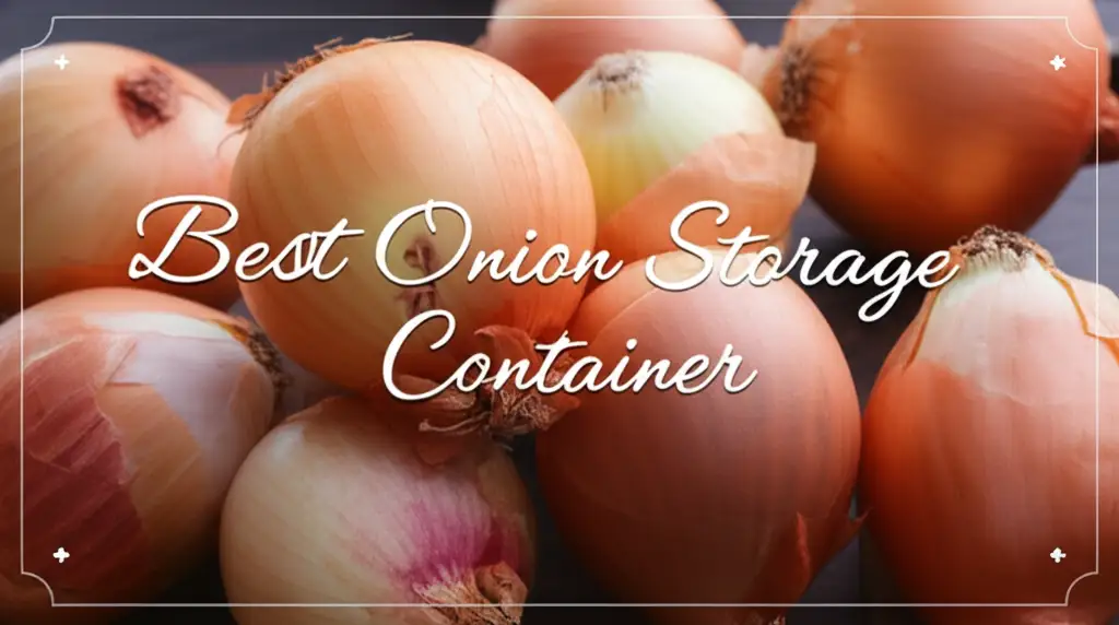 Top 7 Best Onion Storage Containers 2026