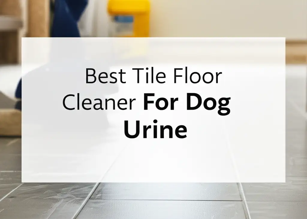 9 Best Tile Floor Cleaner For Dog Urine of 2025