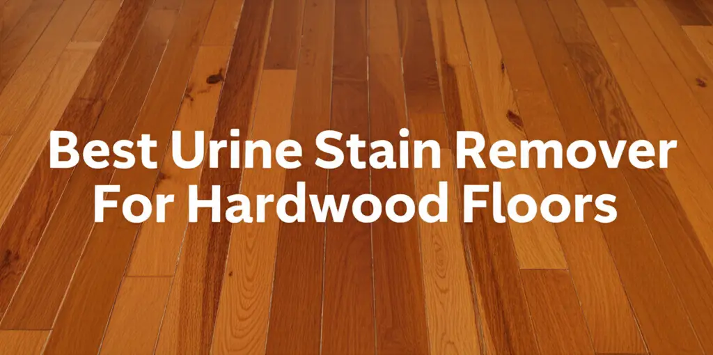 Best Urine Stain Remover For Hardwood Floors