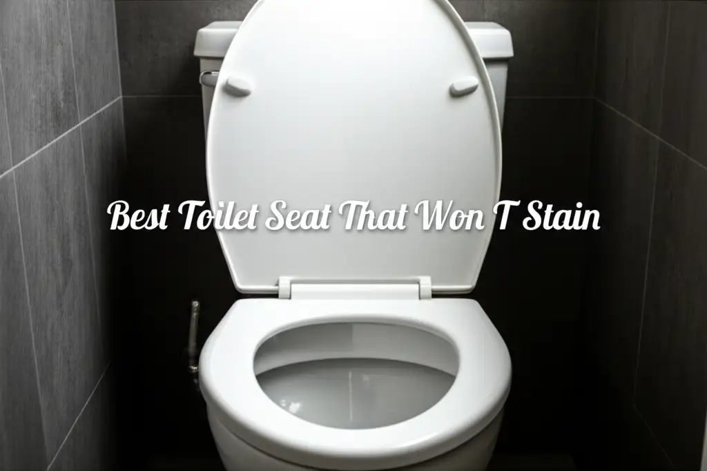 10 Best Toilet Seat That Won T Stain in 2026