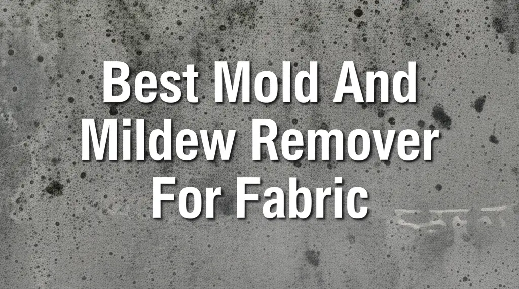 7 Best Mold And Mildew Remover For Fabric in 2026