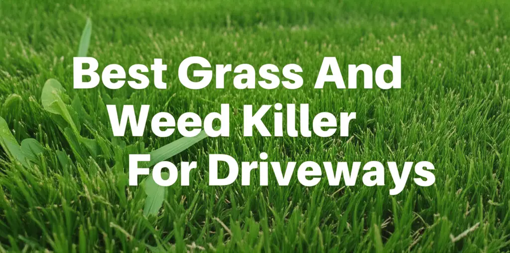 8 Best Grass And Weed Killer For Driveways 2026