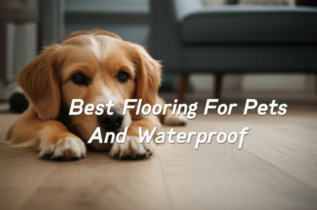 8 Best Flooring For Pets And Waterproof 2026