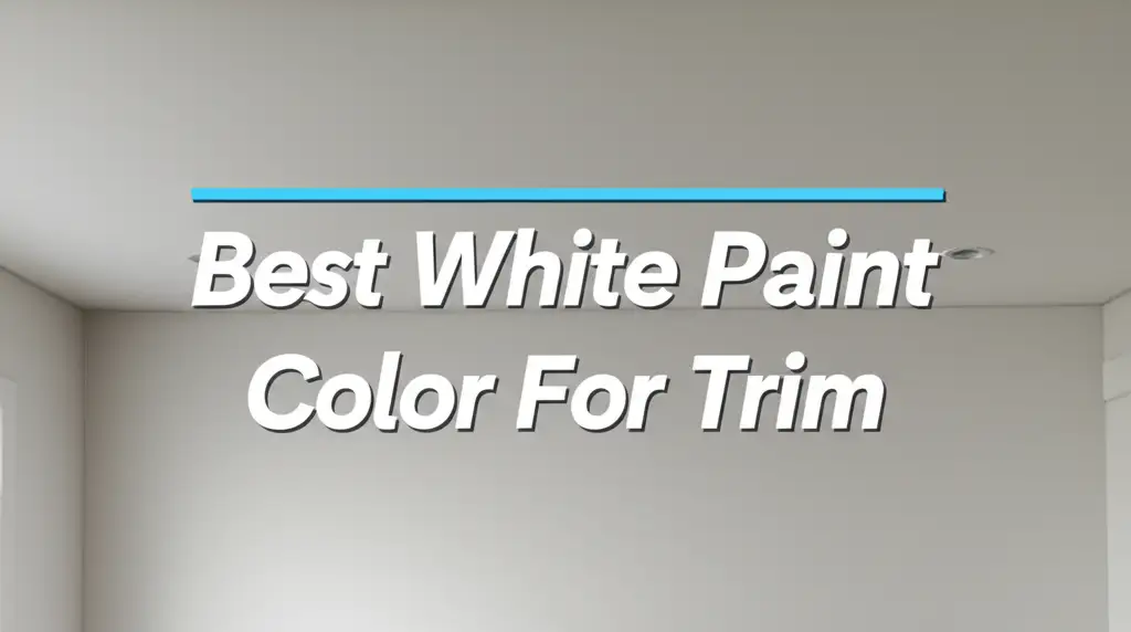 7 Best White Paint Color For Trim Options Reviewed