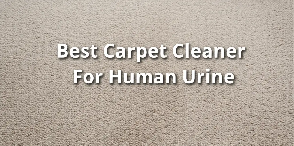 Best Carpet Cleaner For Human Urine