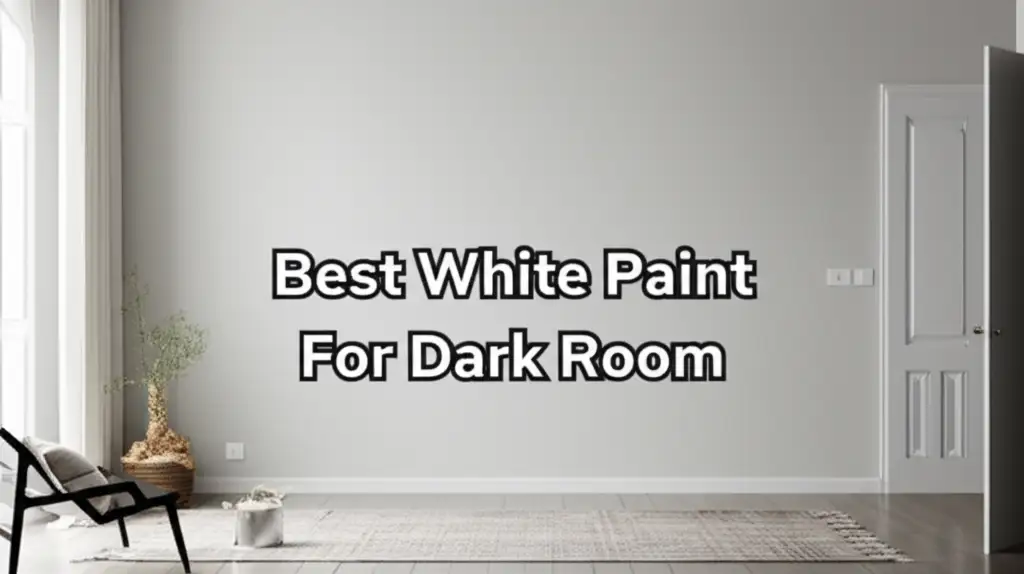 10 Best White Paint For Dark Room to Brighten Your Space