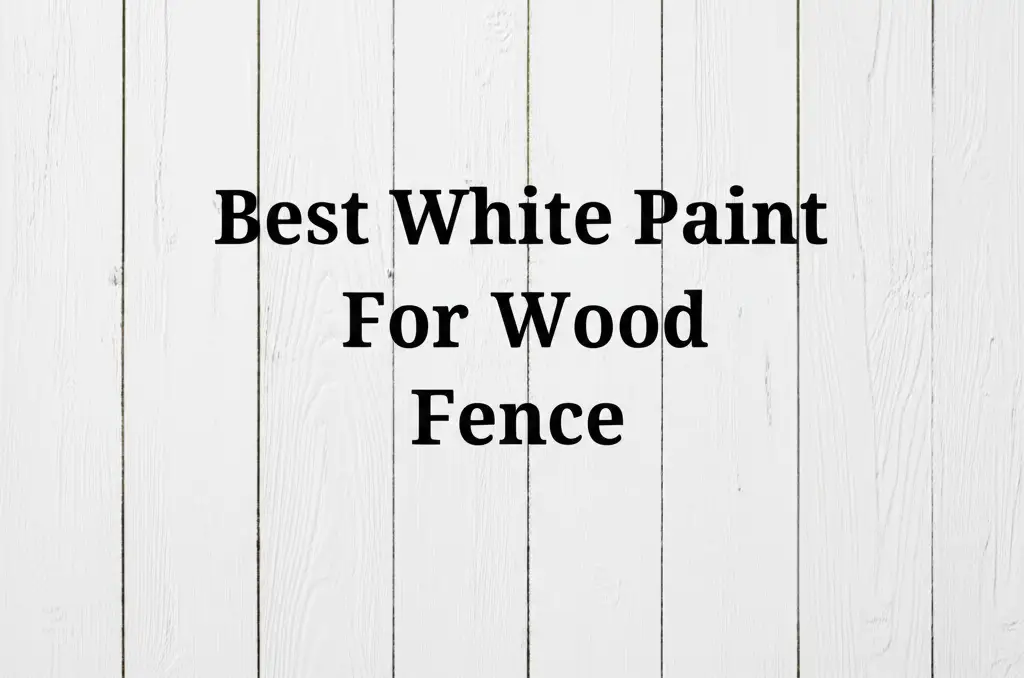 10 Best White Paint For Wood Fence for 2026
