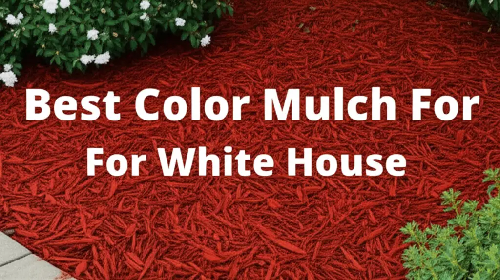7 Best Color Mulch for White House in 2026
